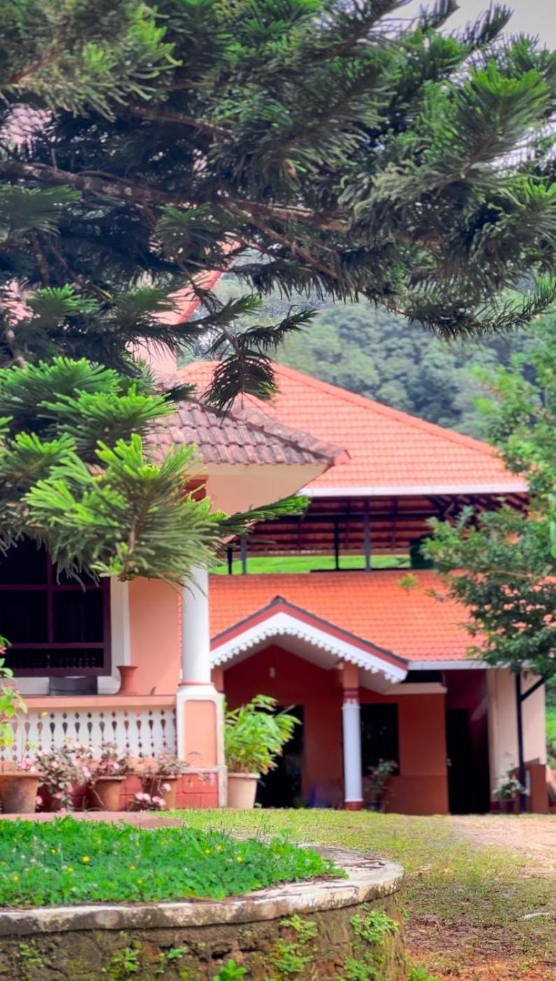 Janiro Tea Trees Villas 비티리 외부 사진