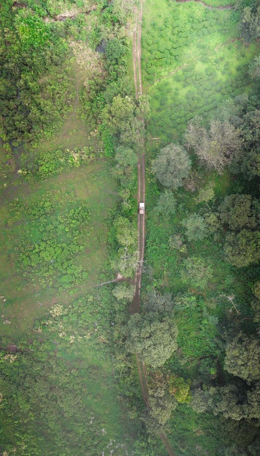 Janiro Tea Trees Villas 비티리 외부 사진