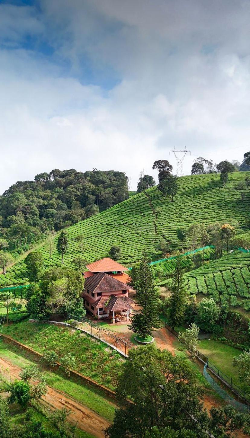 Janiro Tea Trees Villas 비티리 외부 사진
