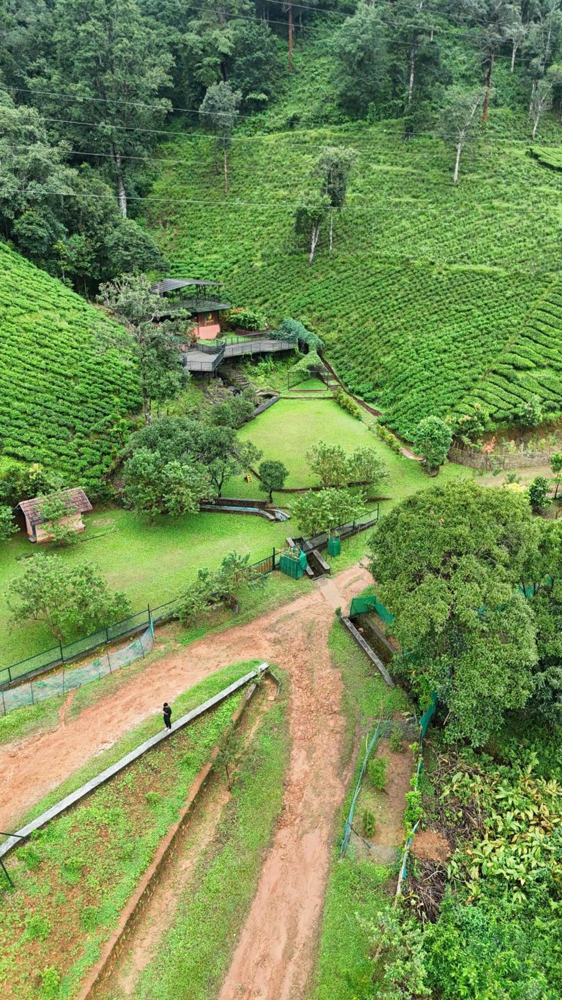 Janiro Tea Trees Villas 비티리 외부 사진