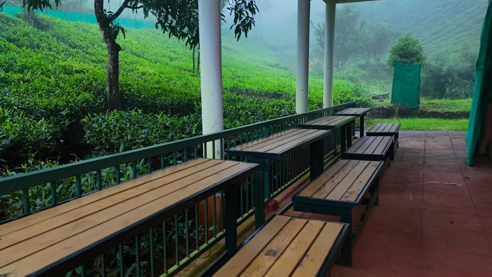 Janiro Tea Trees Villas 비티리 외부 사진