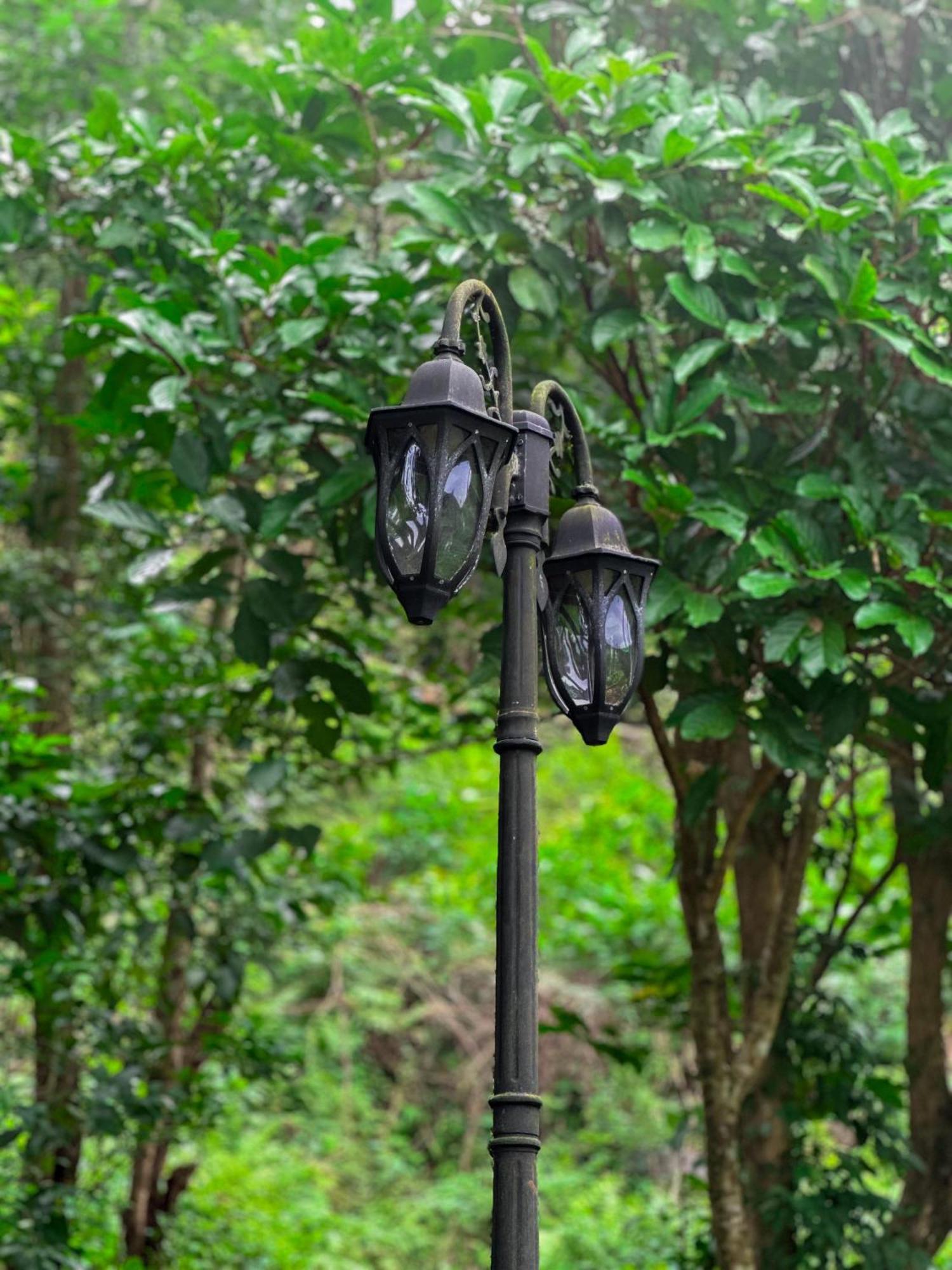 Janiro Tea Trees Villas 비티리 외부 사진