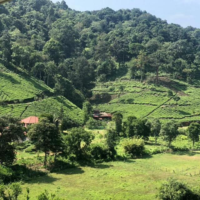 Janiro Tea Trees Villas 비티리 외부 사진
