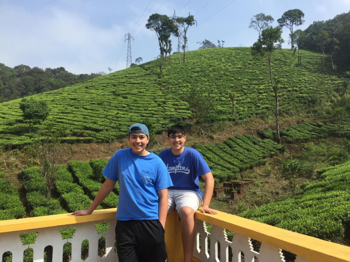 Janiro Tea Trees Villas 비티리 외부 사진