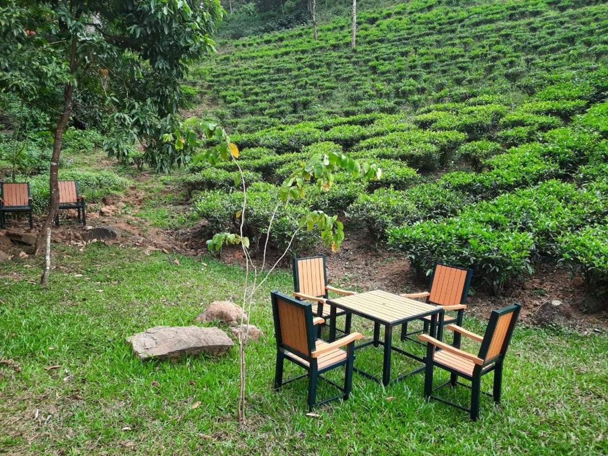 Janiro Tea Trees Villas 비티리 외부 사진